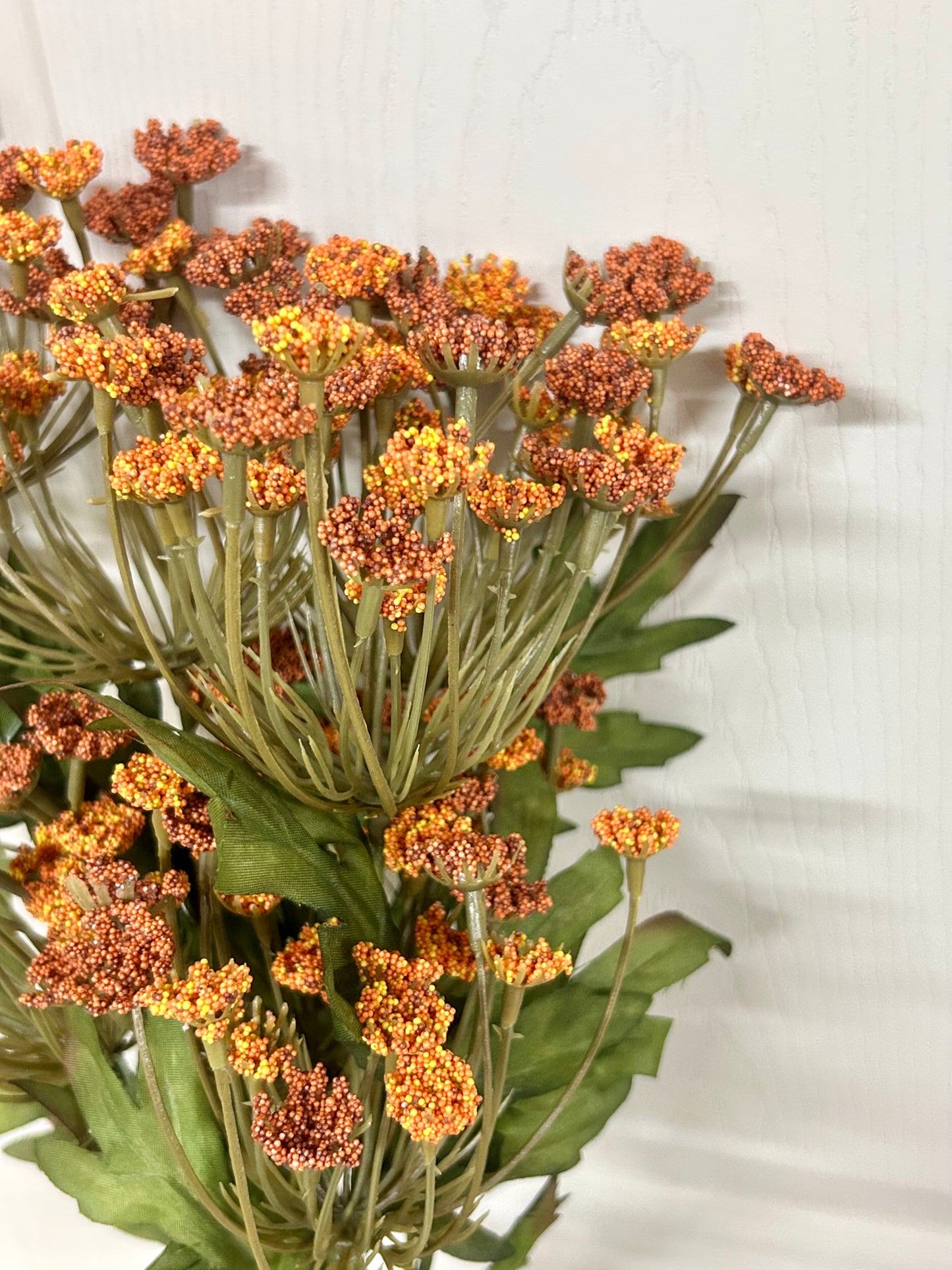 21 Inch Rust Queen Ann Lace Bush