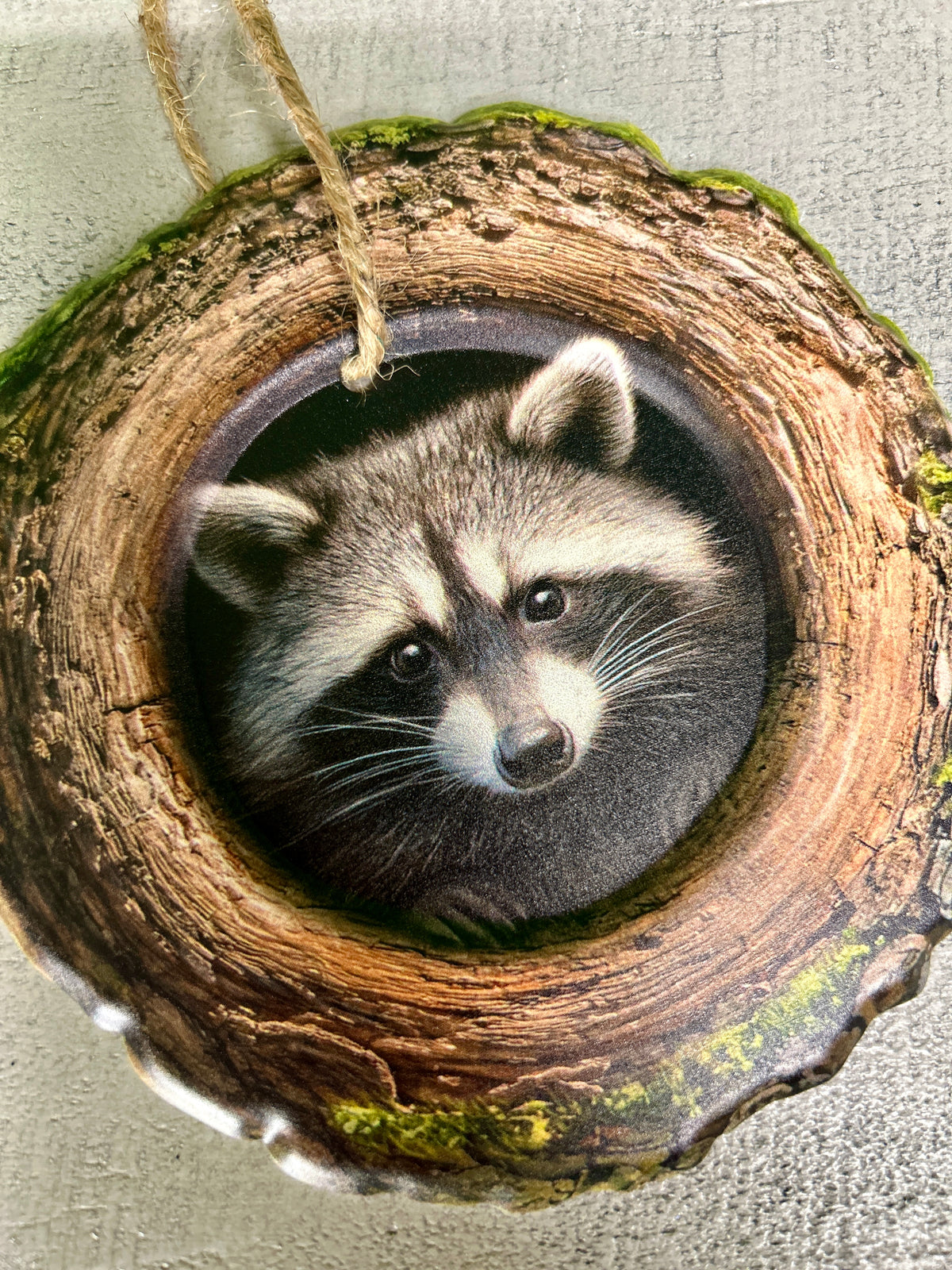 5.25 Inch Raccoon In A Tree Metal Sign