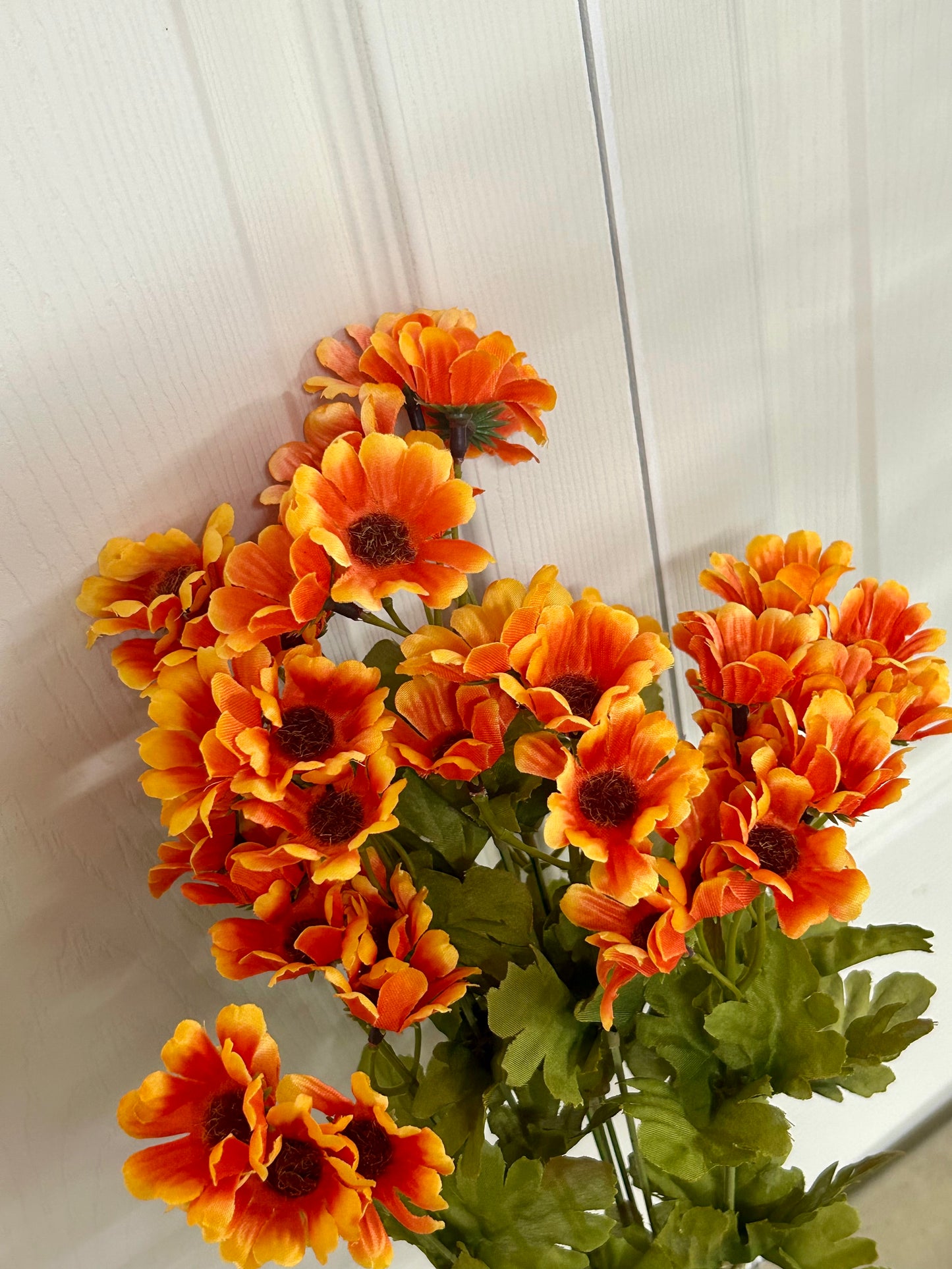 19.5 Inch Orange Wild Daisy Bush