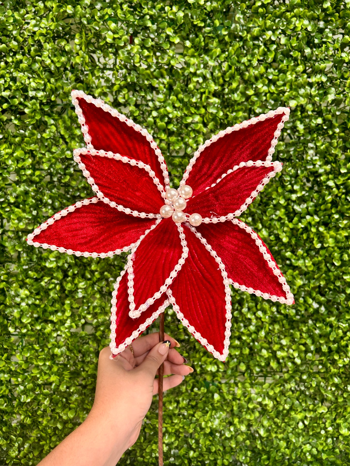 22 Inch Red Velvet Pearl Poinsettia