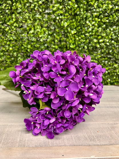 18 Inch Purple Hydrangea Bush