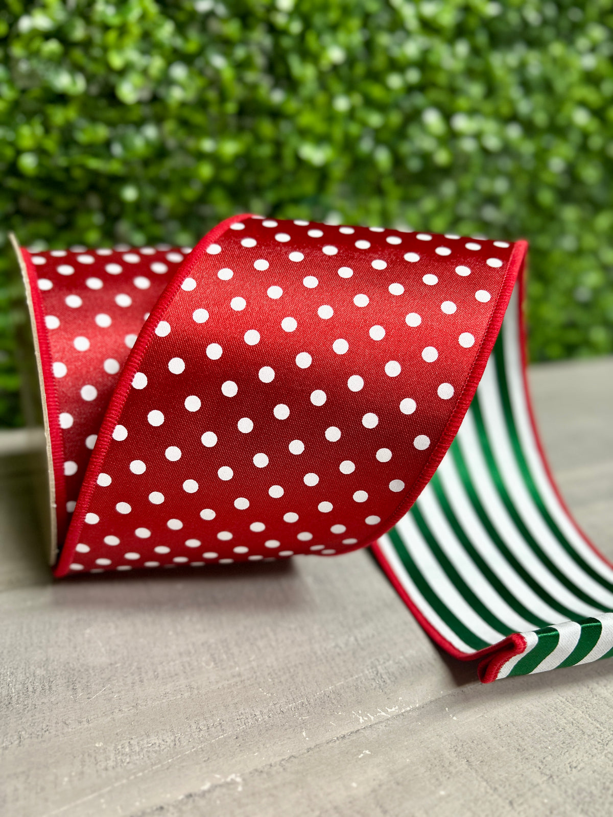 4 Inch By 10 Yard Red And White Polka Dot With Emerald And White Stripe Backing Fused Ribbon