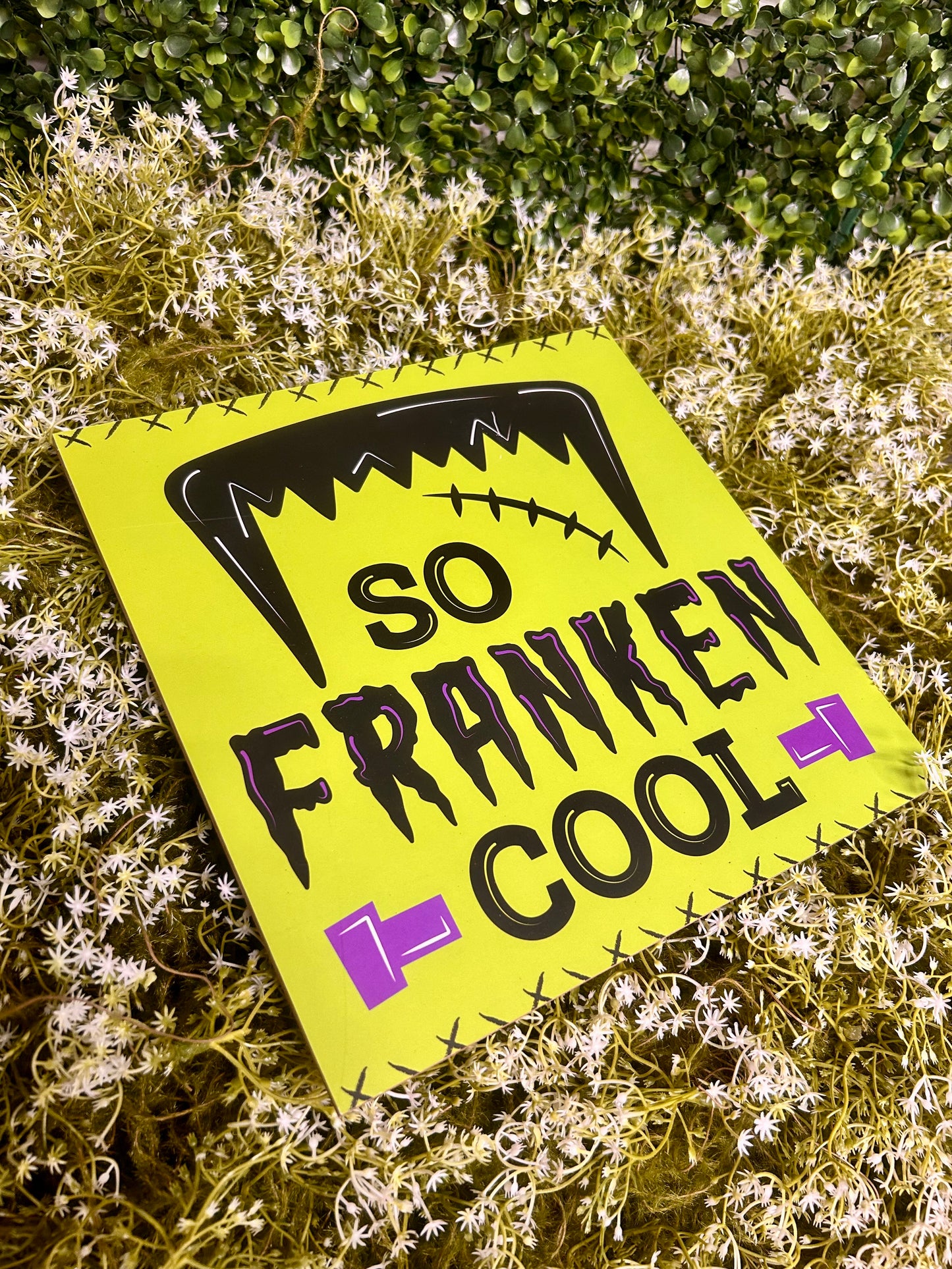 10 Inch So Franken Cool Square Wood Sign