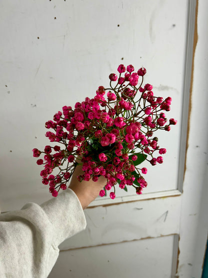 20 Inch Fuchsia Gypso Bush