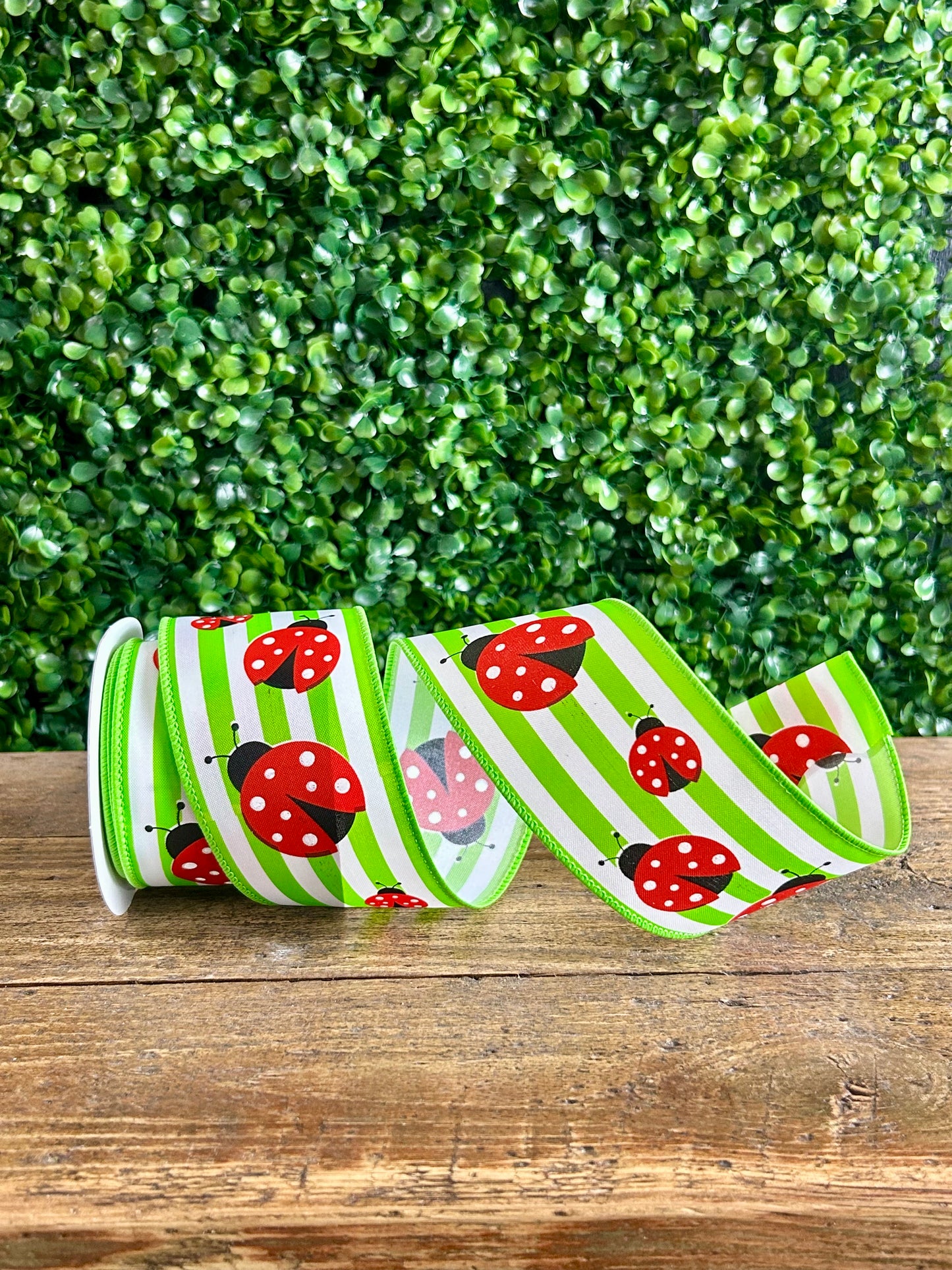 2.5 Inch By 10 Yard Ladybug On Stripes Ribbon