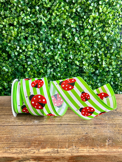 2.5 Inch By 10 Yard Ladybug On Stripes Ribbon