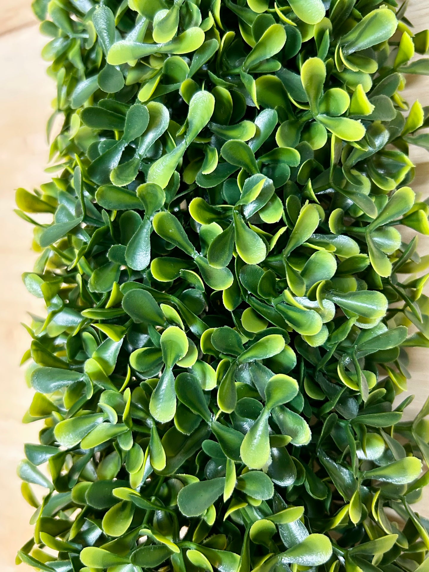 24 Inch Green Cross Boxwood Wreath