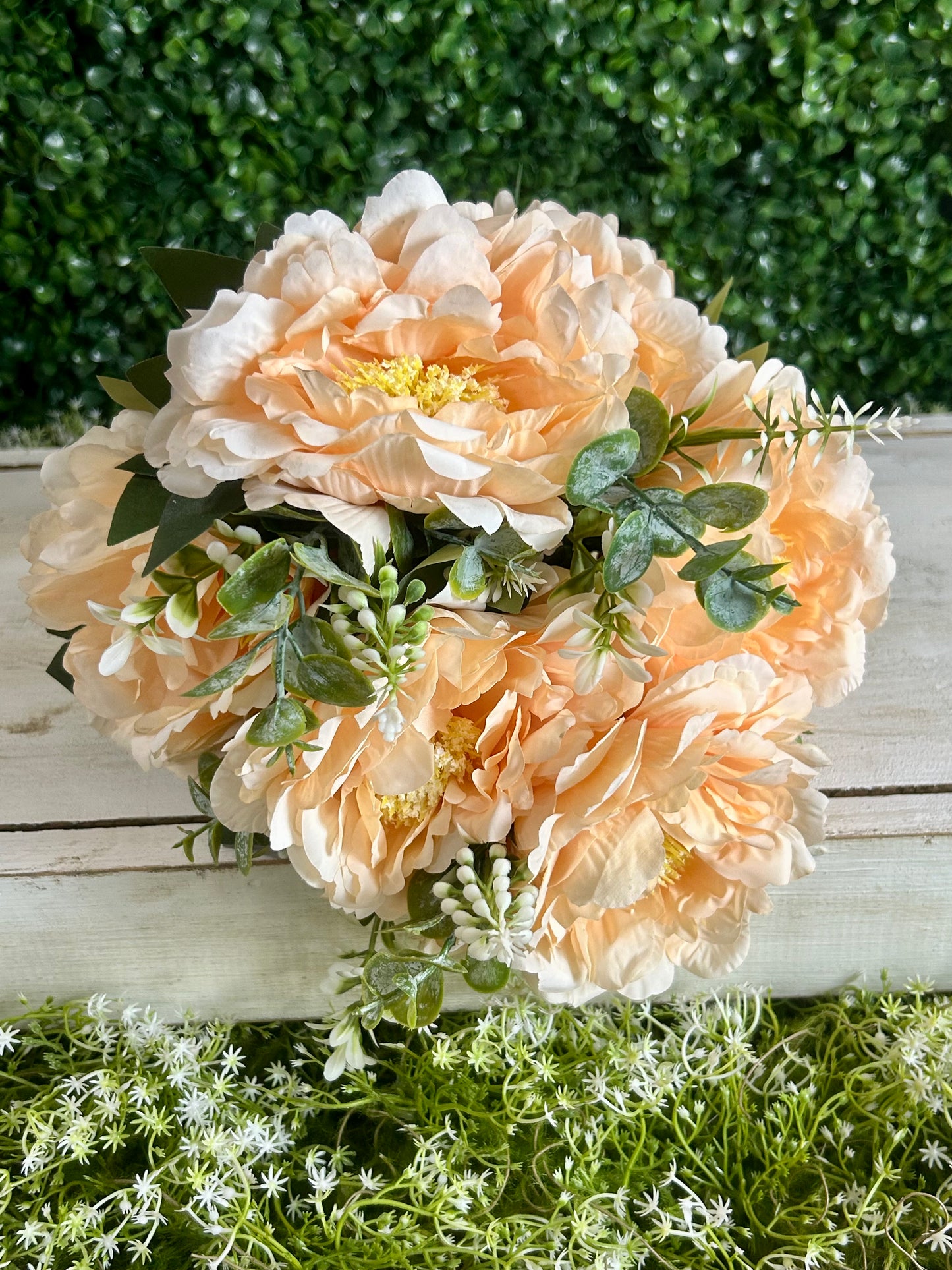 21 Inch Apricot Peony Bush