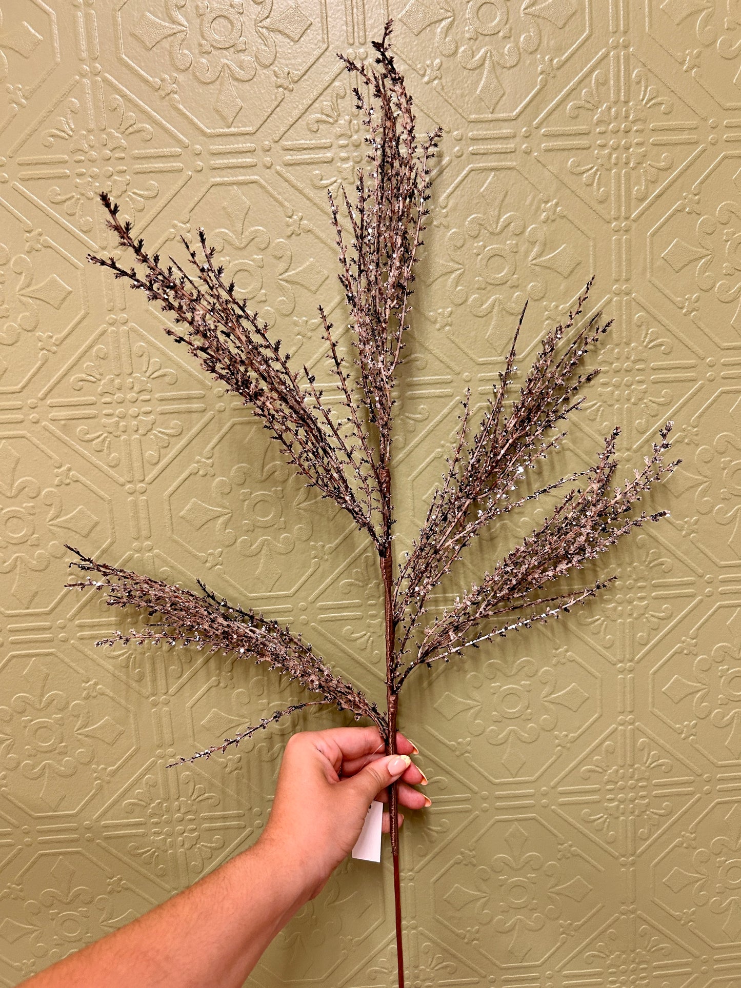 31 Inch Natural Ice Pampas Spray