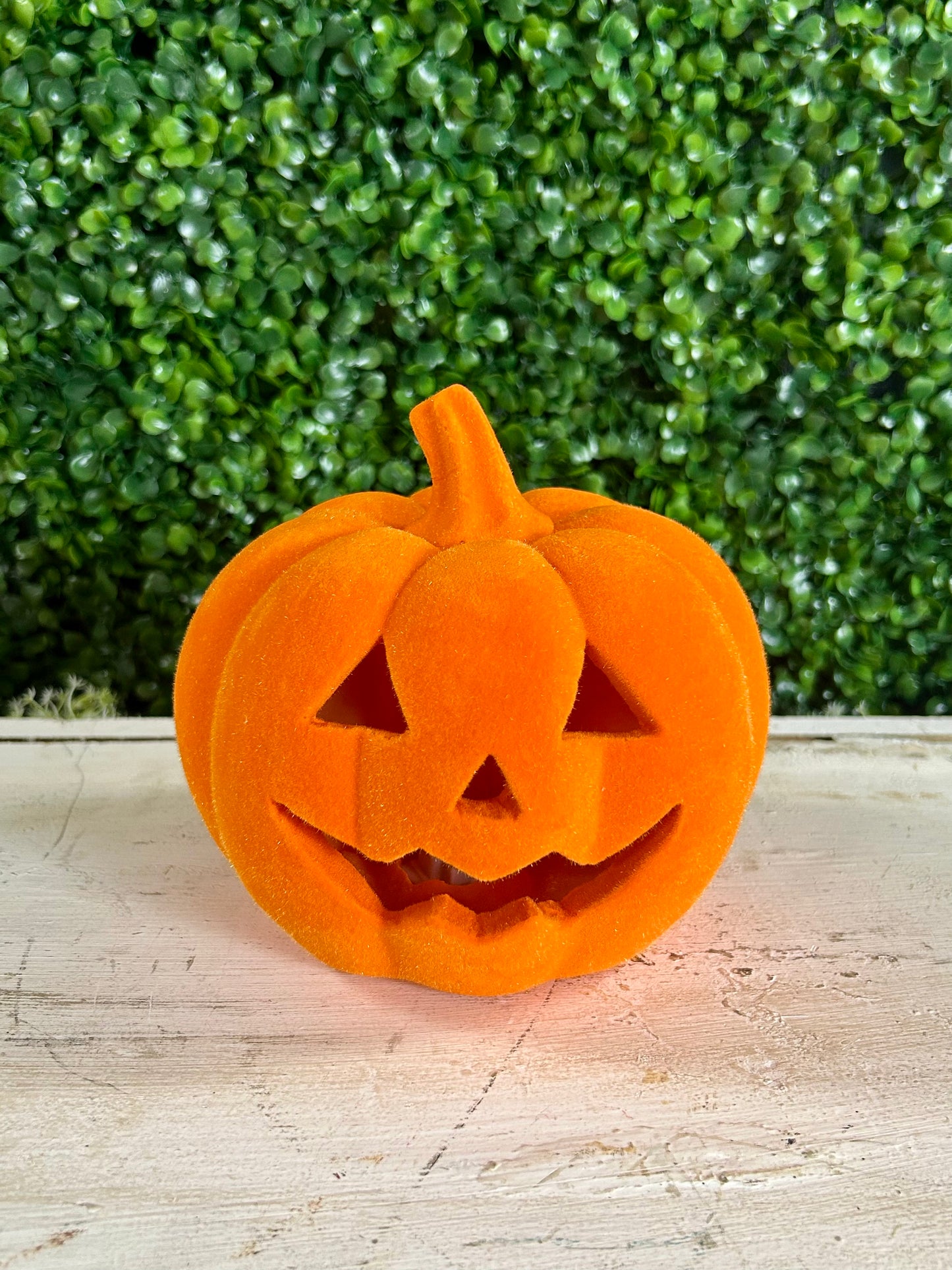 6 Inch Lighted Resin Flocked Halloween Pumpkin Three Styles