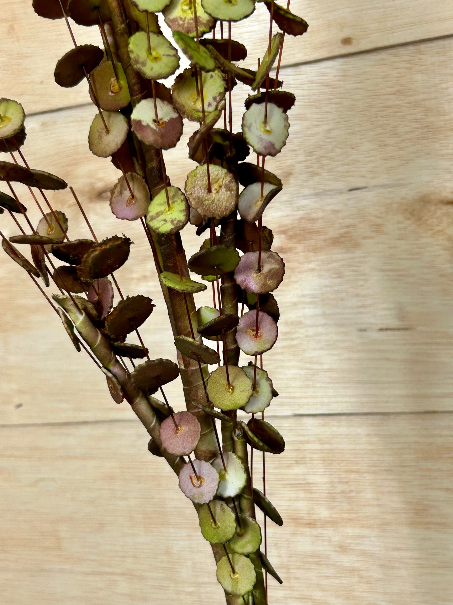 34 Inch Green And Brown Eva Faux Eucalyptus Spray