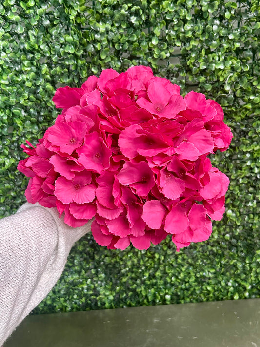 18 Inch Hot Pink Southern Hydrangea Bush