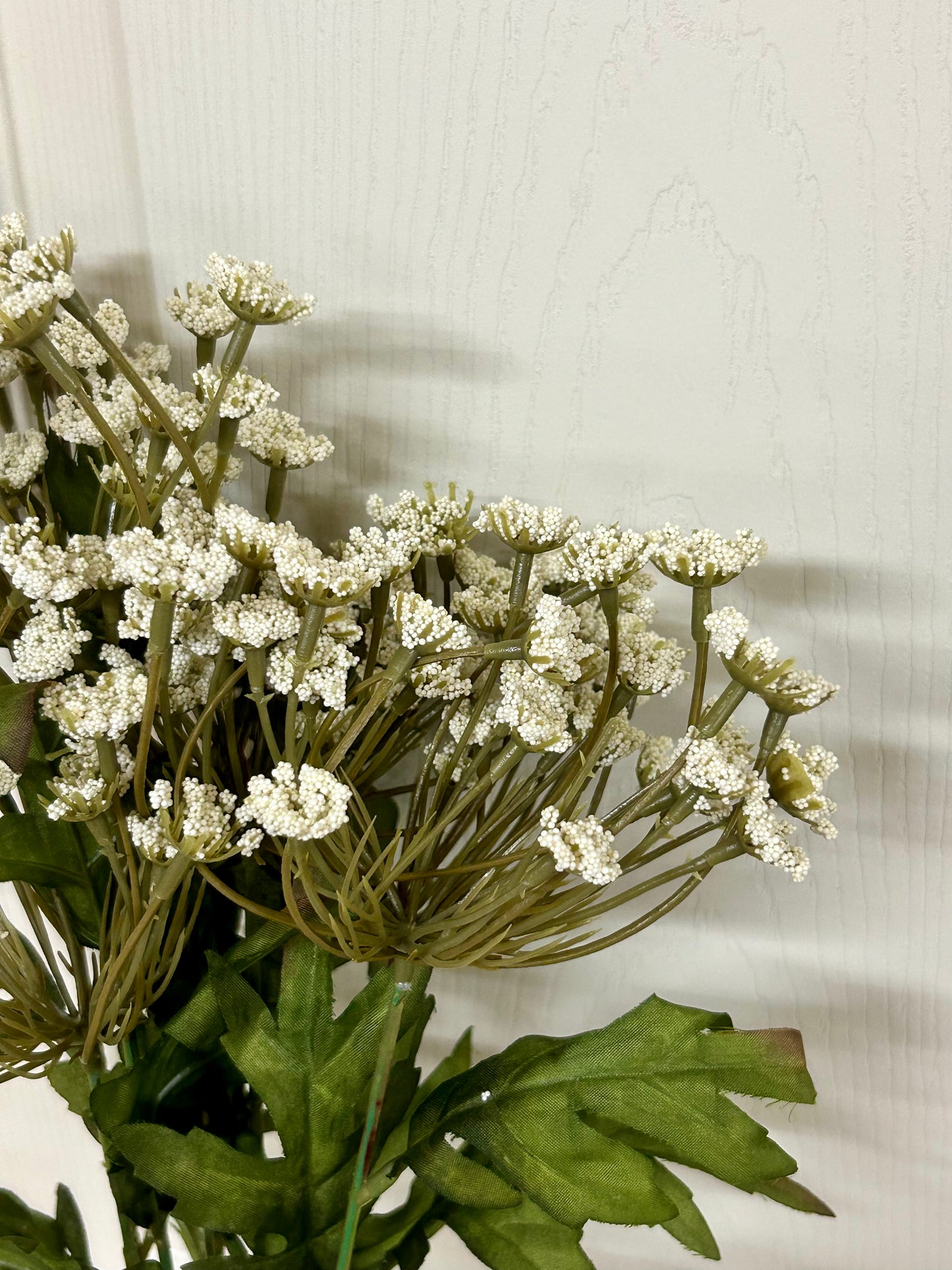 21 Inch Cream Queen Ann Lace Bush