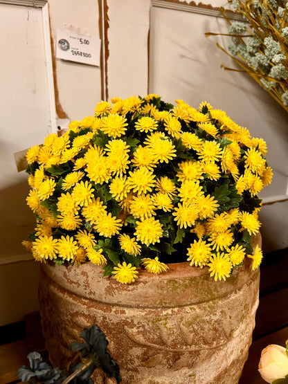 16 Inch Yellow Mum Stake Bush