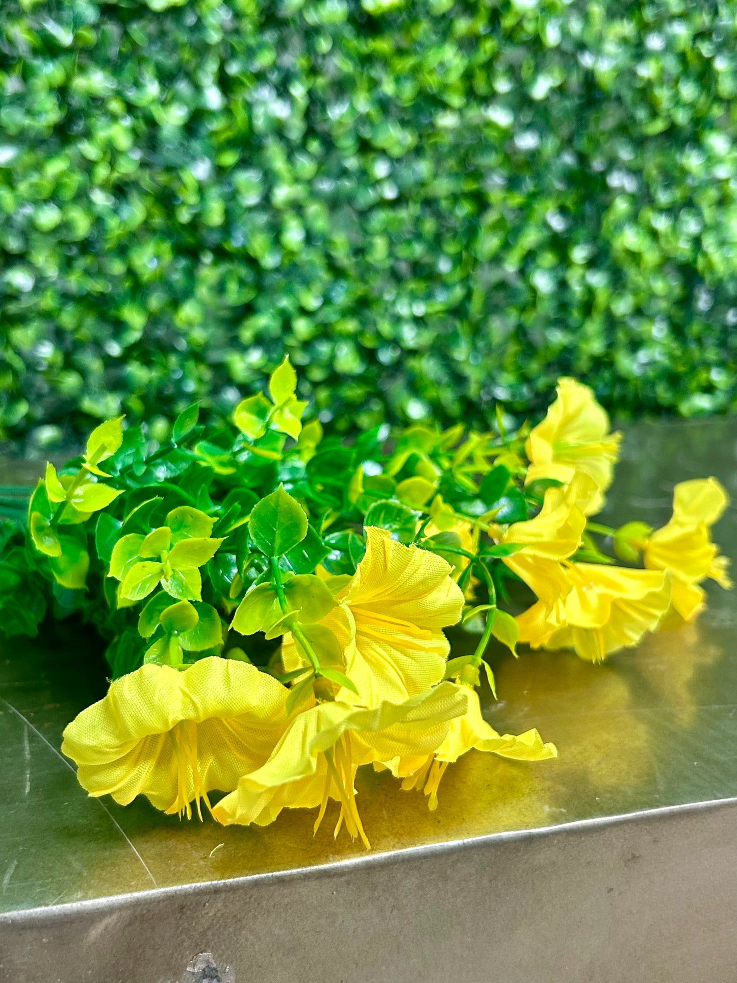 14 Inch Yellow Mini Morning Glory Bunch