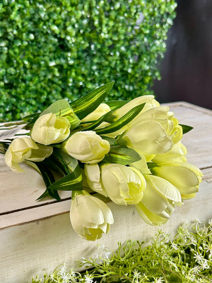 18.5 Inch Cream Crocus Bush