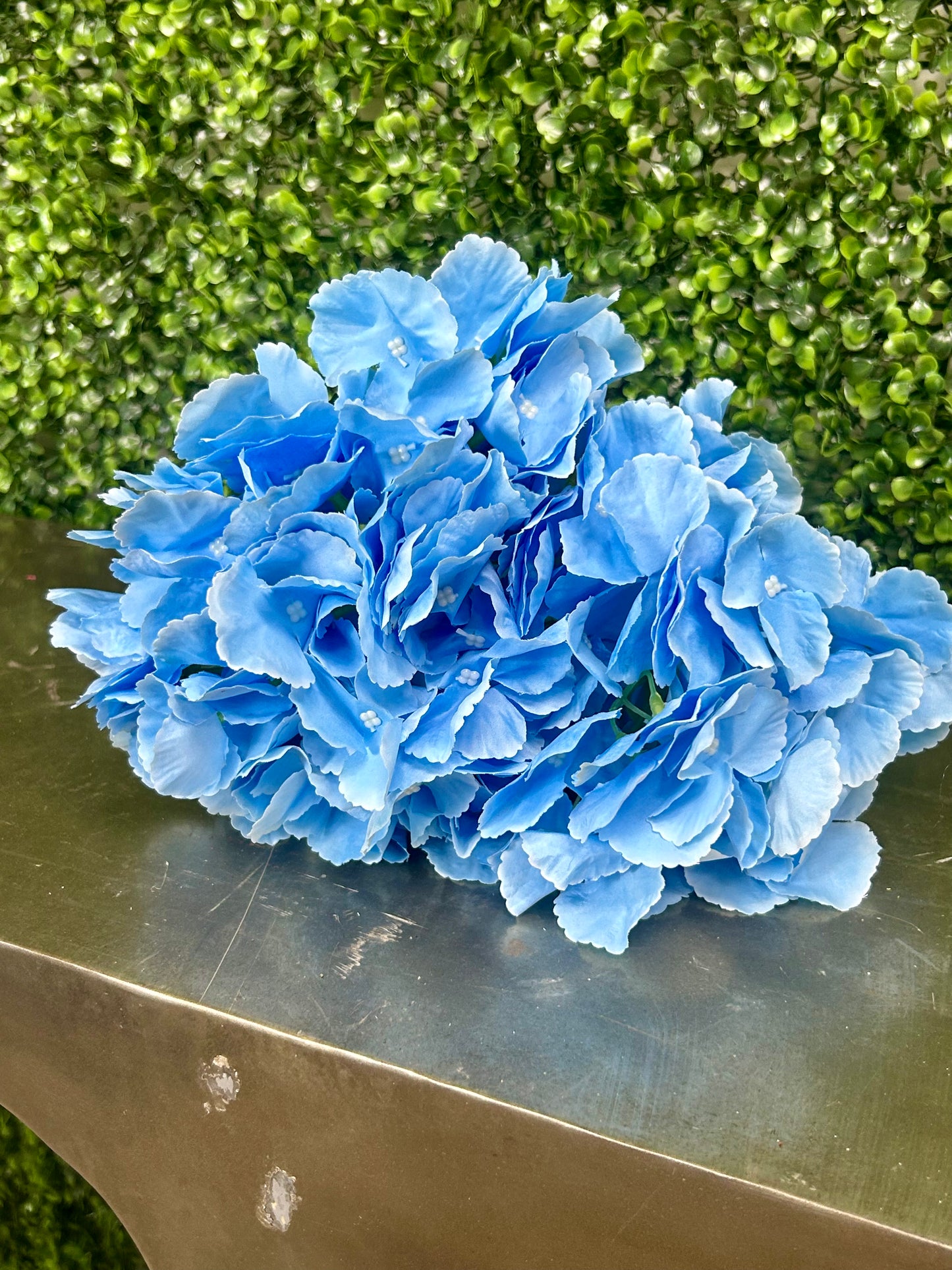 18 Inch Light Blue Southern Hydrangea Bush