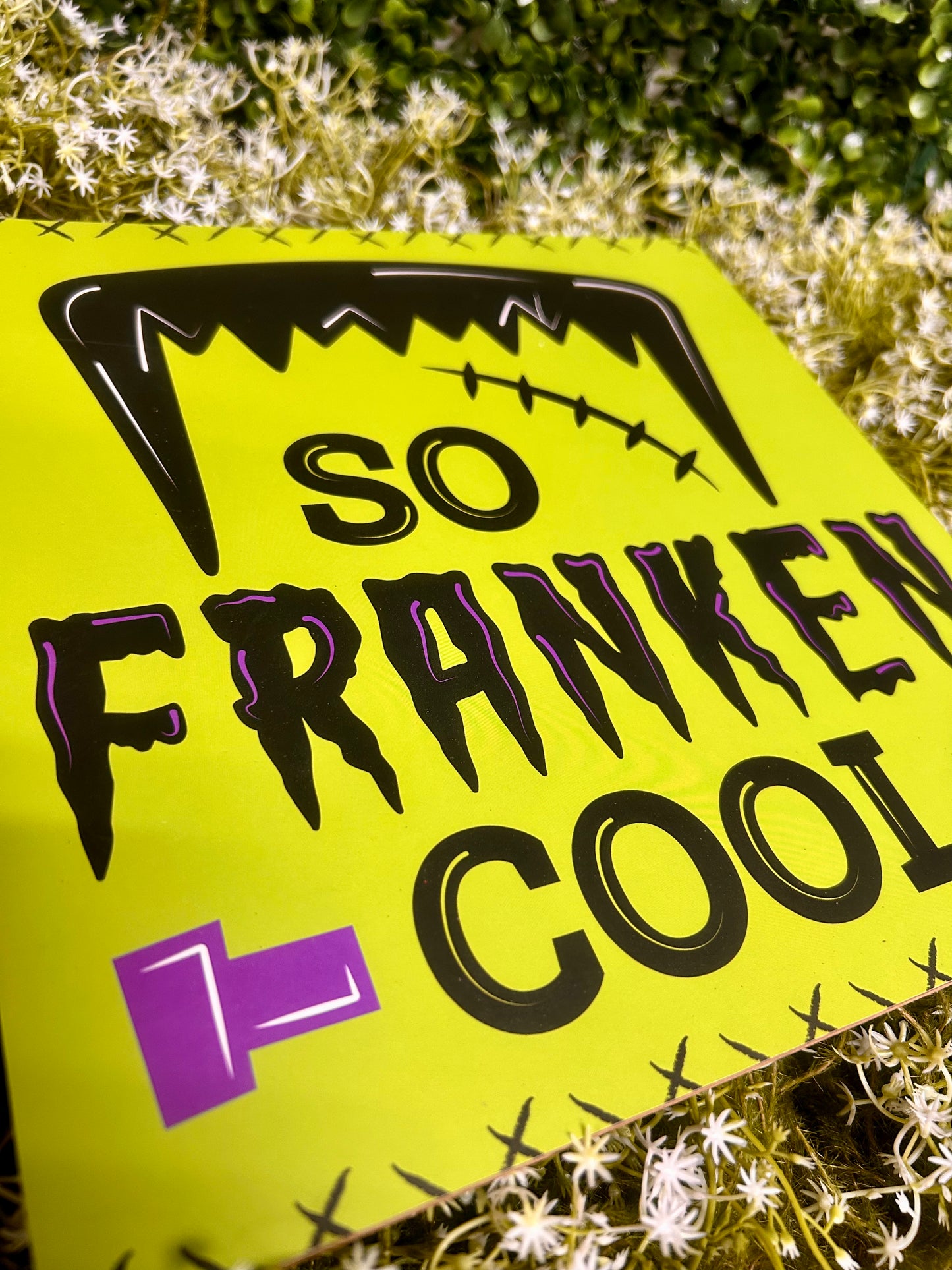 10 Inch So Franken Cool Square Wood Sign