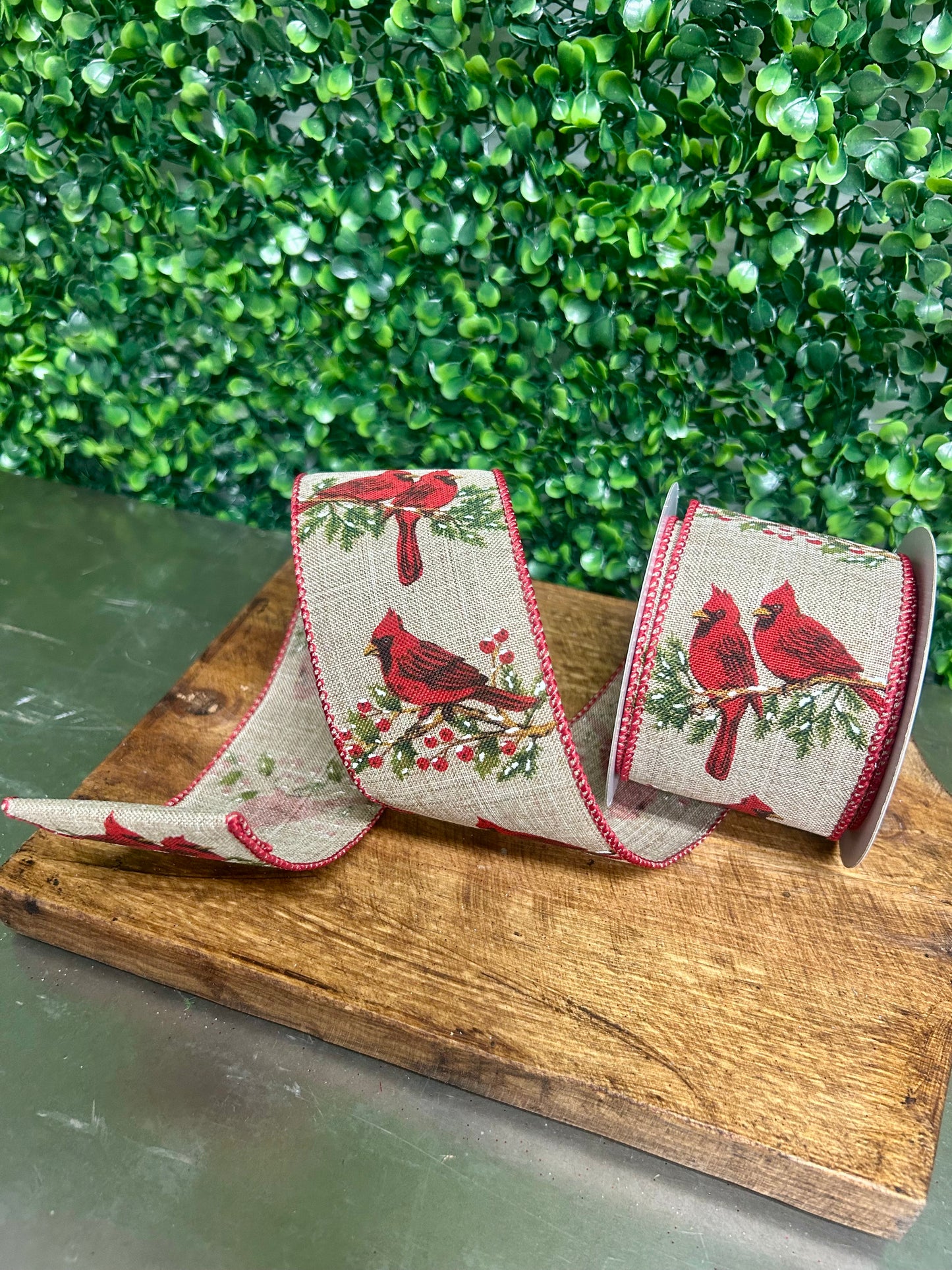 2.5 Inch By 10 Yard Cardinal On A Branch Ribbon