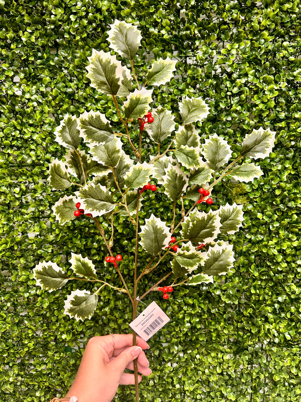 27.5 Inch Green Holly Bush