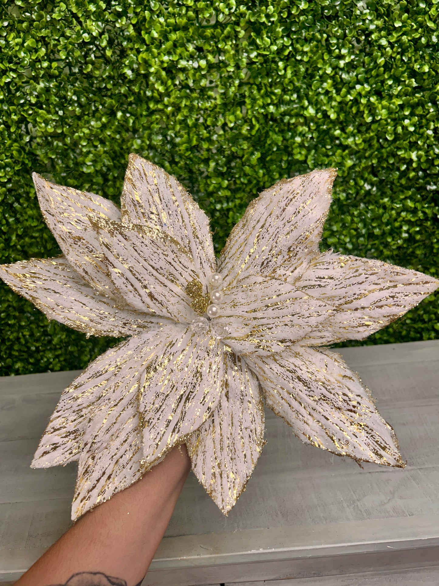 22 Inch Cream And Gold Poinsettia