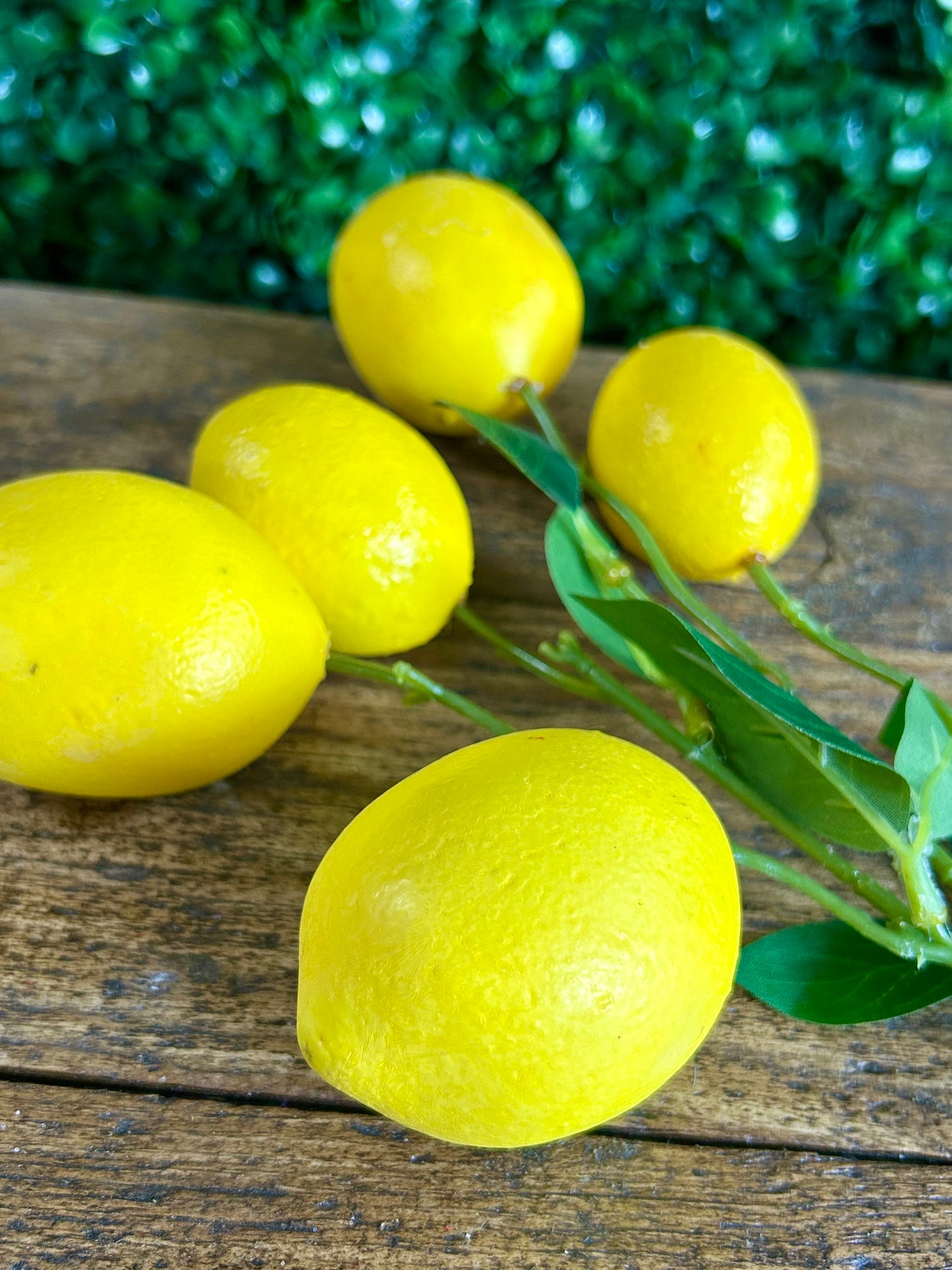 14 Inch Lemon Branch