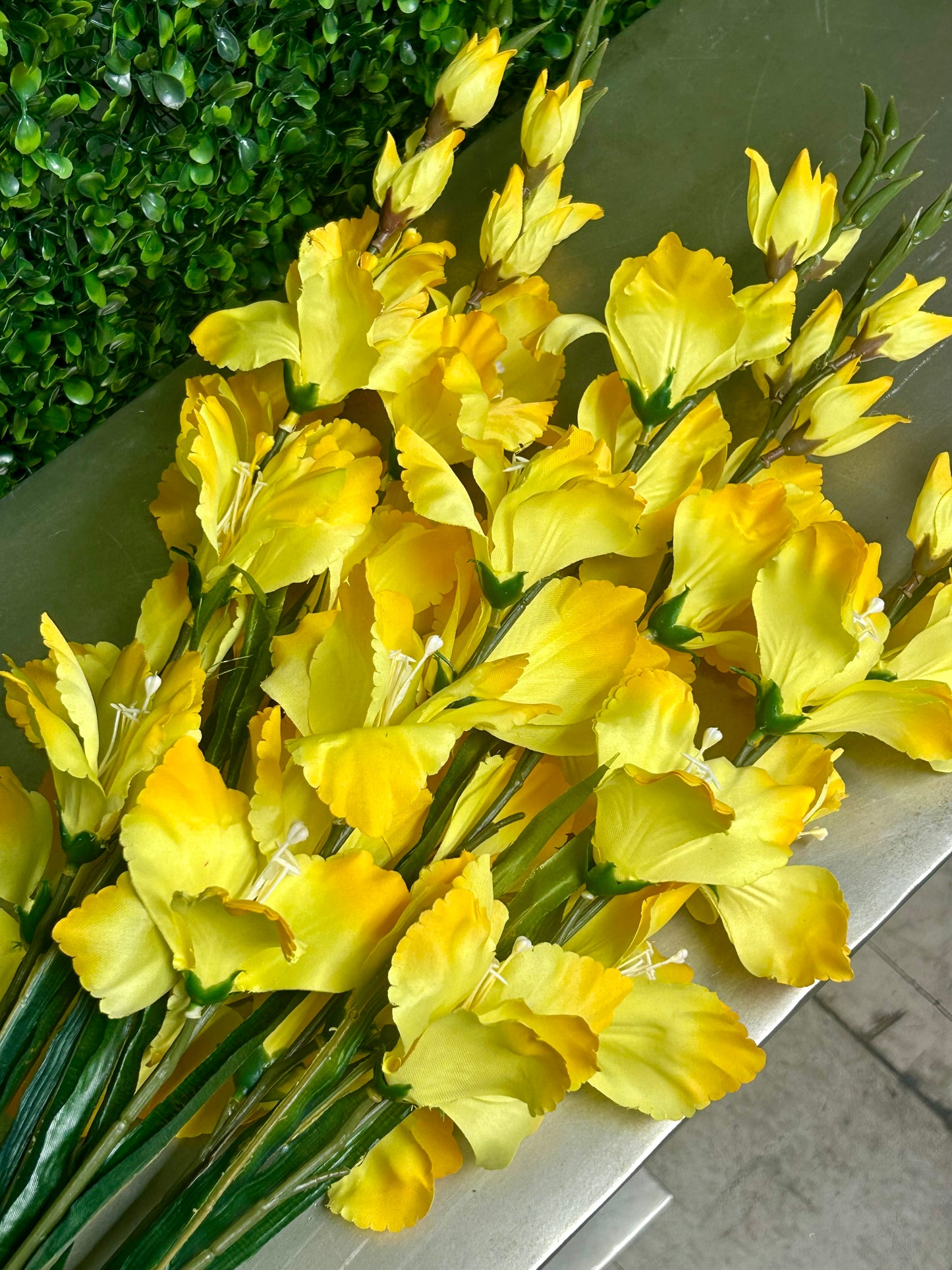 32 Inch Yellow Gladiolas Bush