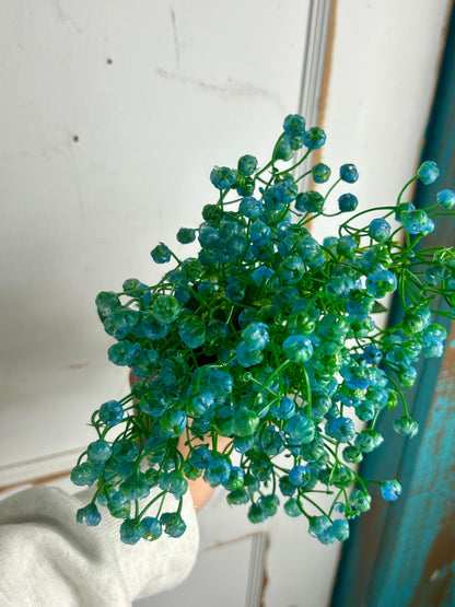 20 Inch Blue Gypso Bush