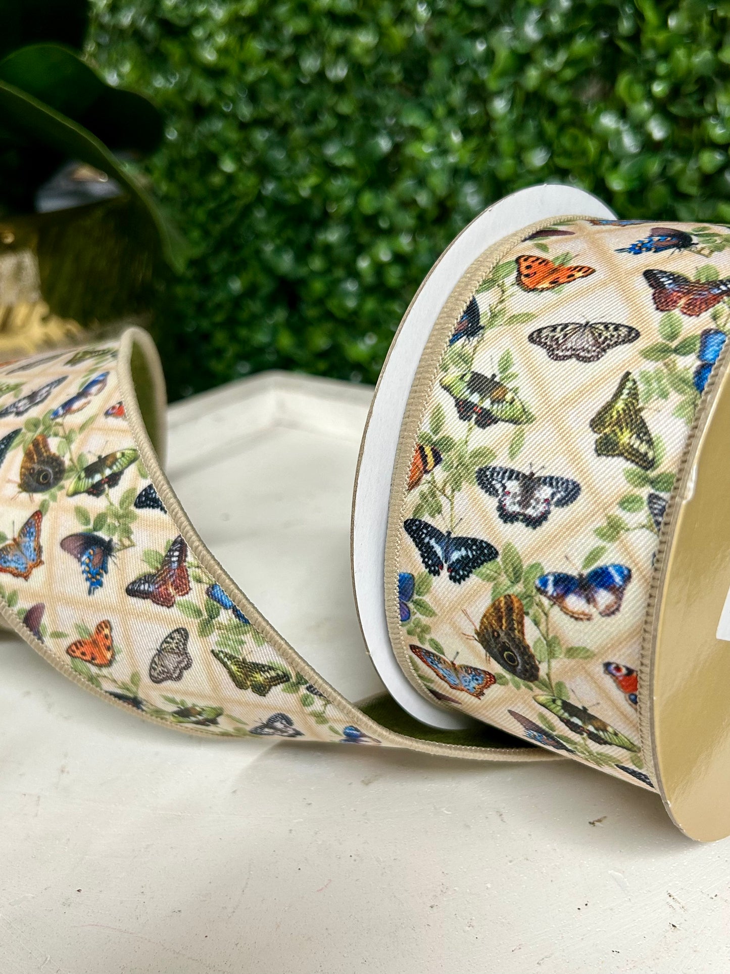 2.5 Inch By 10 Yard Vintage Butterfly Ribbon