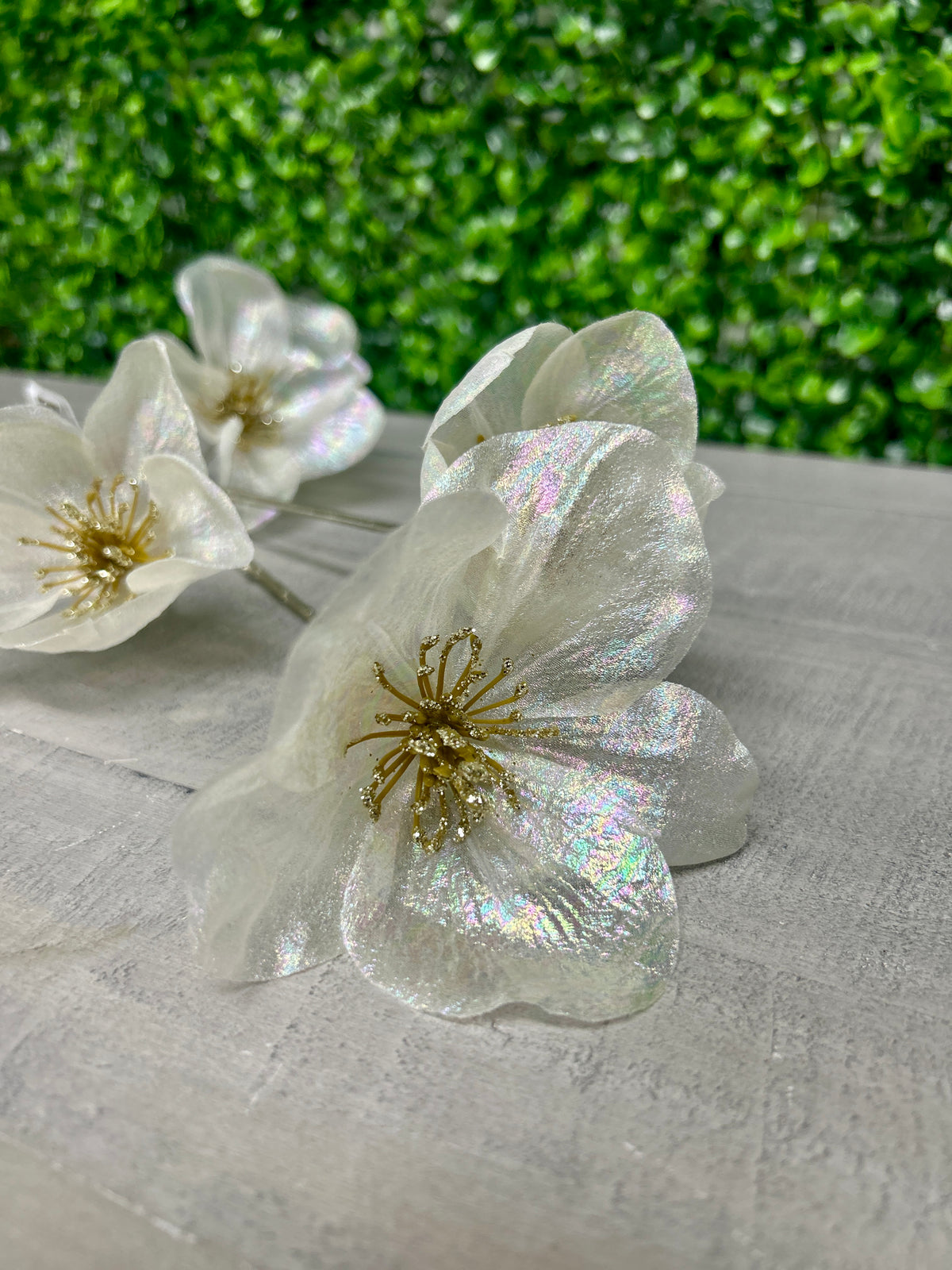 34 Inch White Iridescent Helleborus Spray