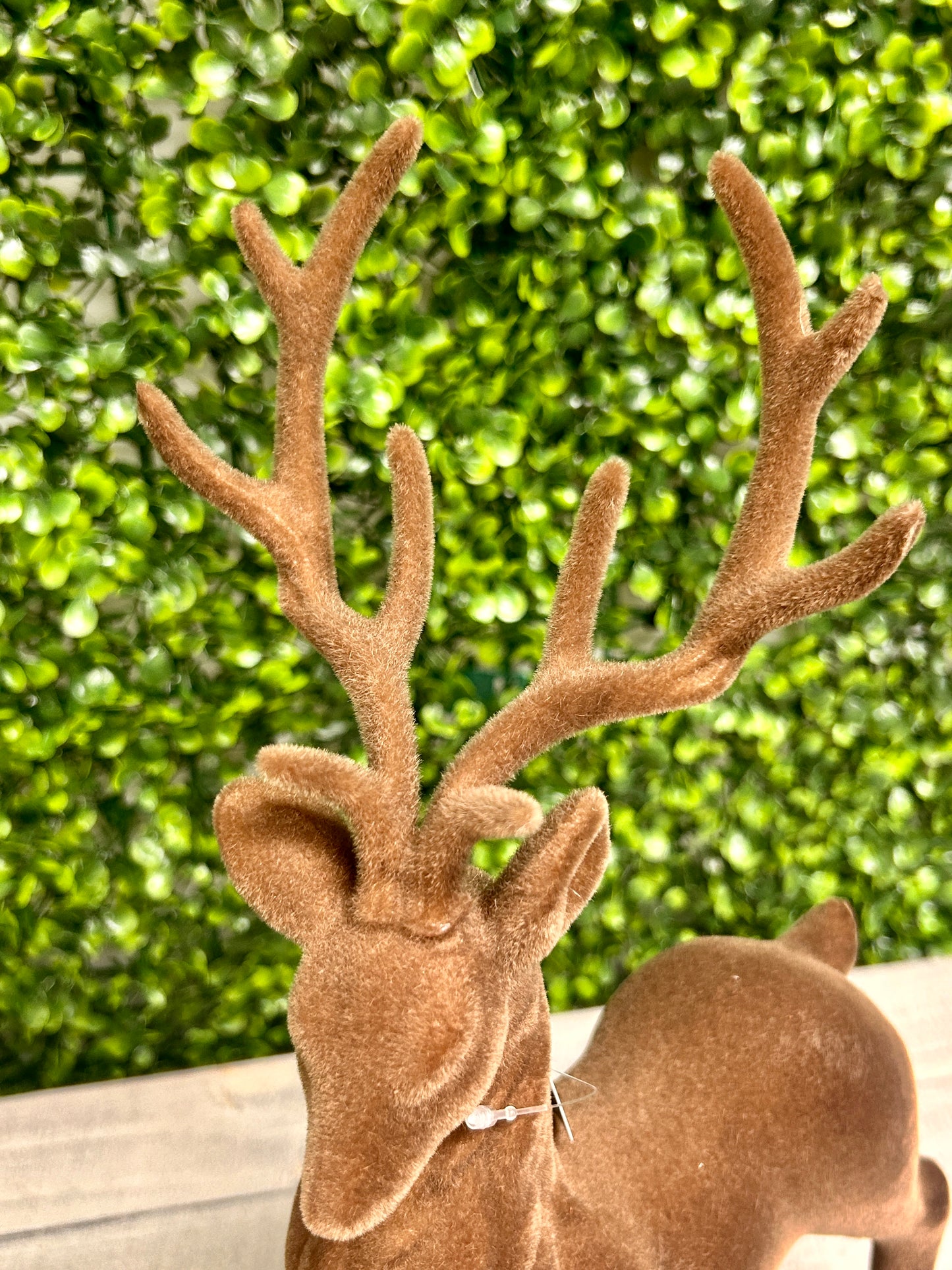 15 Inch Brown Flocked Deer Two Styles
