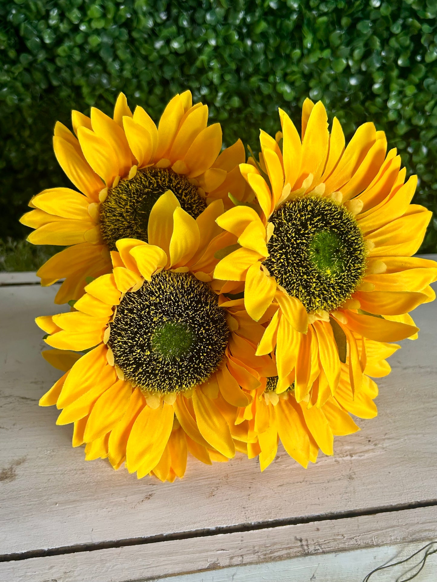 18 Inch Yellow Farm Sunflower Bush
