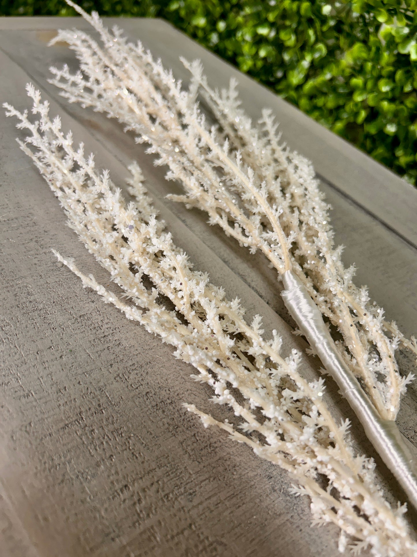31 Inch Cream Ice Pampas Spray