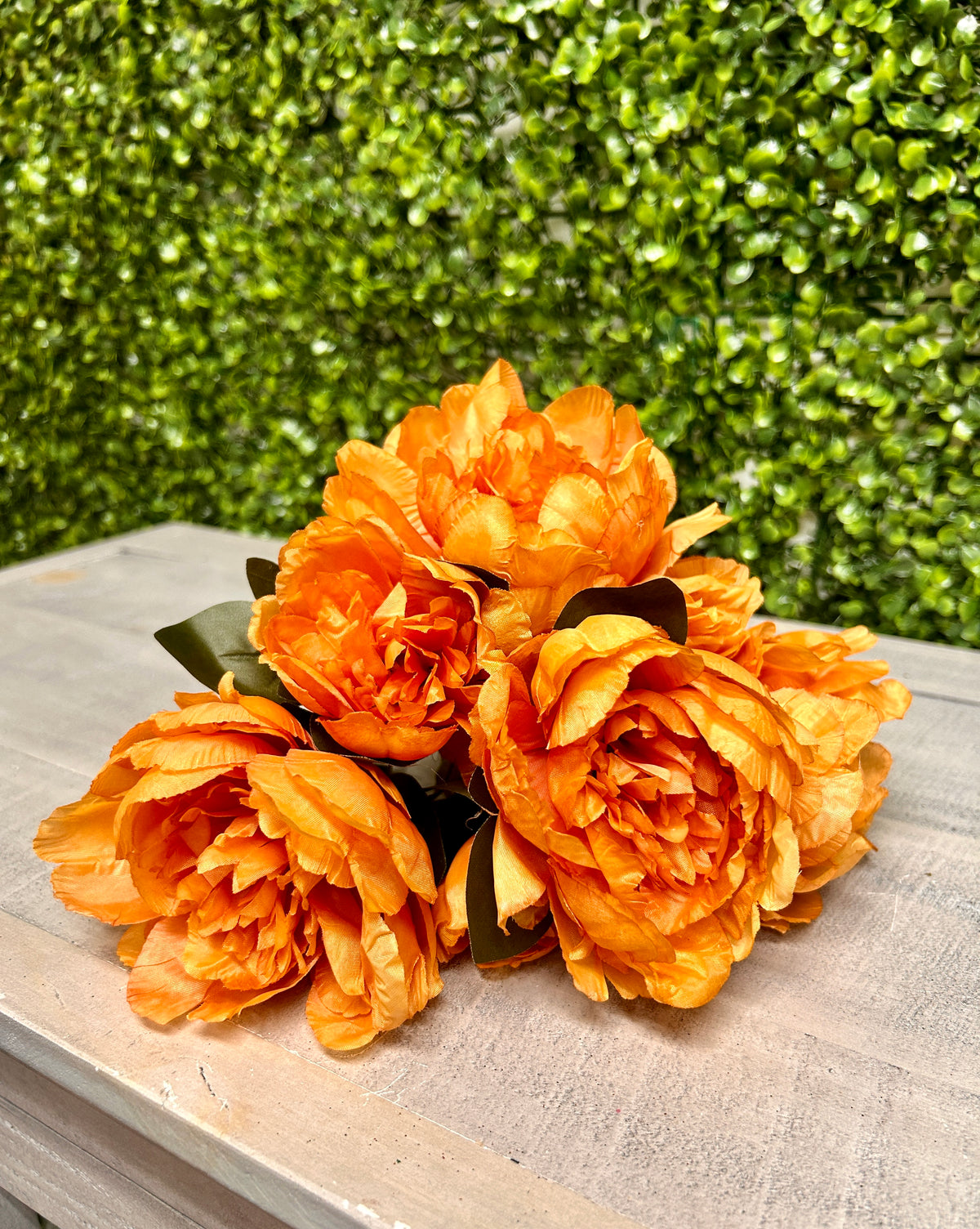 14 Inch Orange Peony Bush