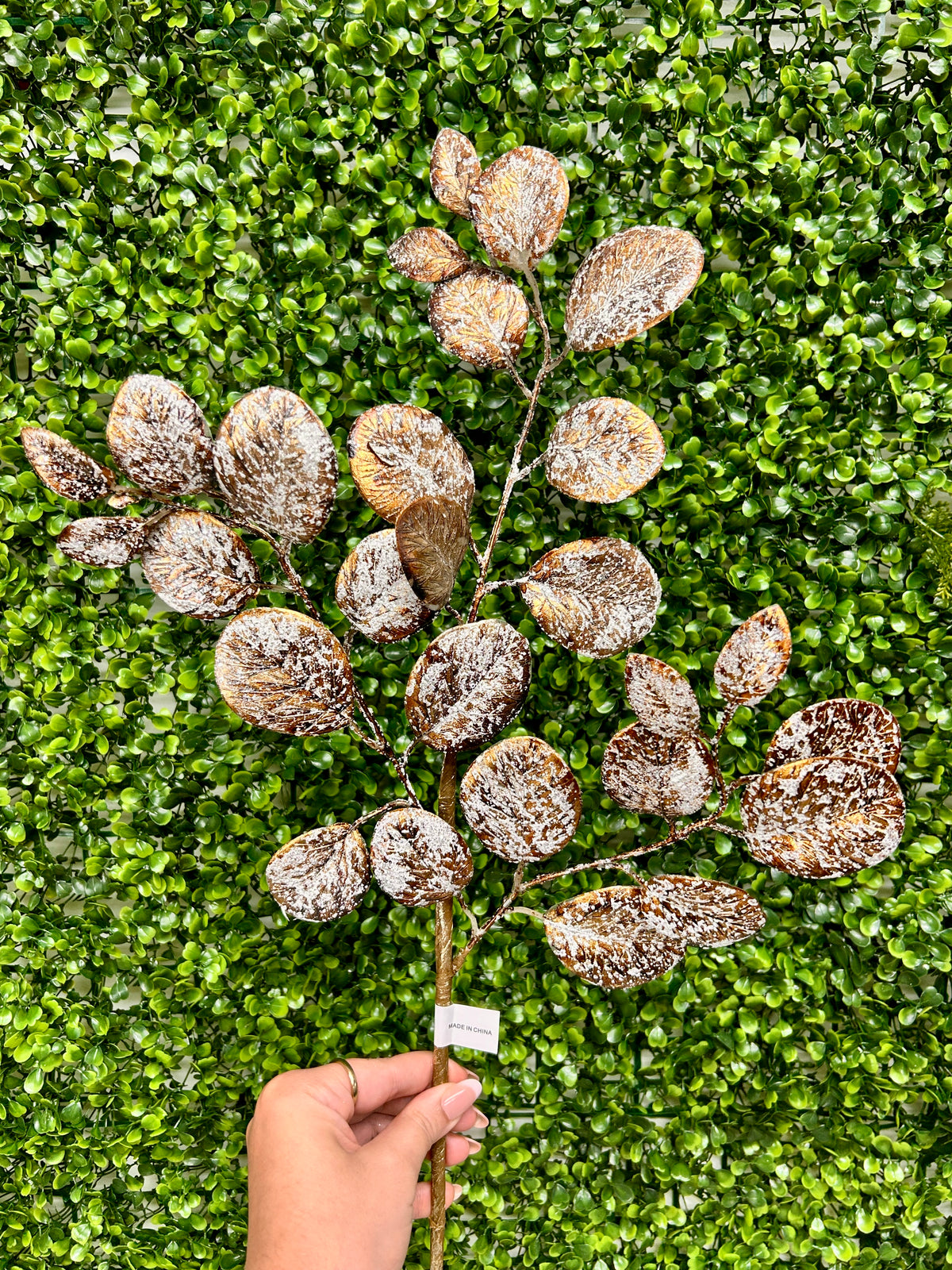24 Inch Coffee Eucalyptus Leaf Spray With Frost