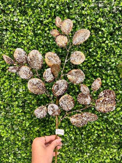 24 Inch Coffee Eucalyptus Leaf Spray With Frost