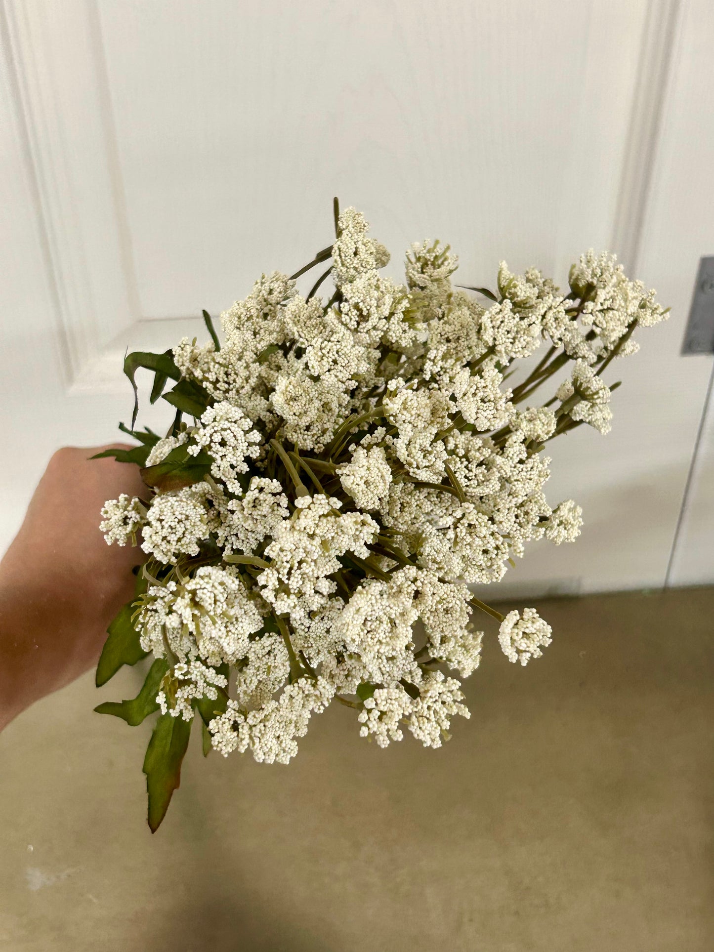 21 Inch Cream Queen Ann Lace Bush
