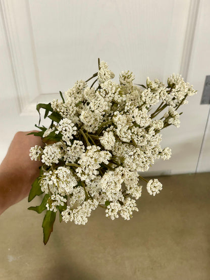 21 Inch Cream Queen Ann Lace Bush