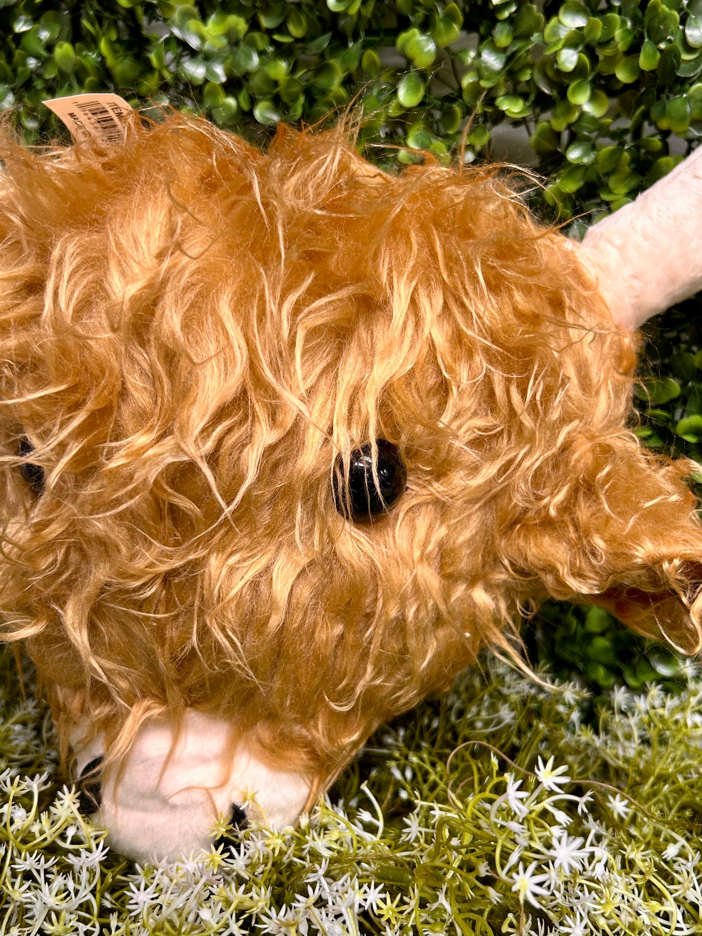 18 Inch Highland Cow Head Decor