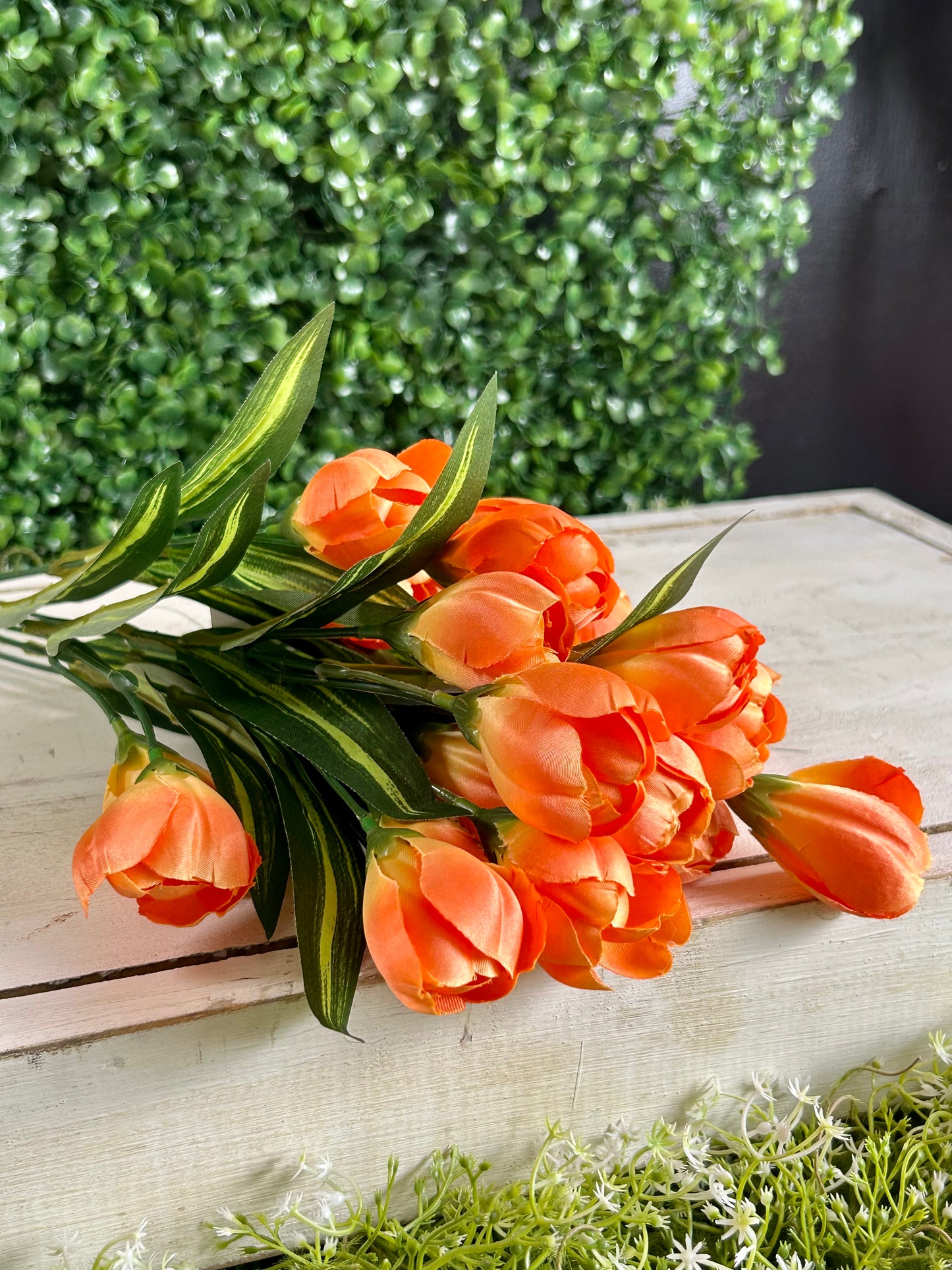 18.5 Inch Orange Crocus Bush