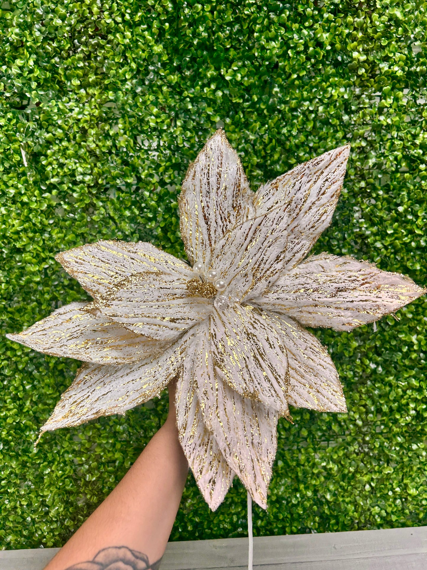 22 Inch Cream And Gold Poinsettia