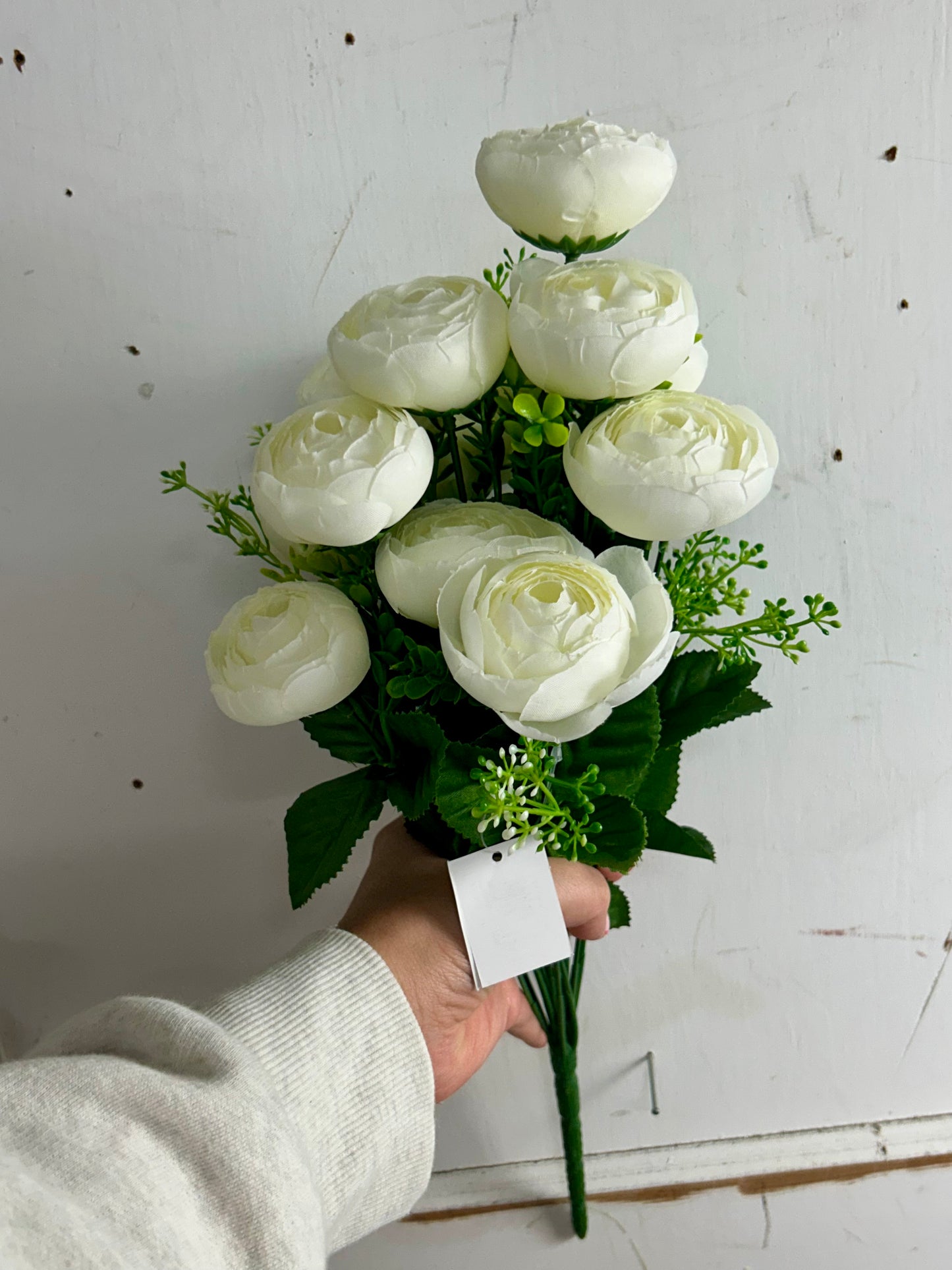 Cream Ranunculus Bush