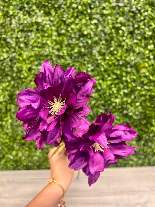 27 Inch Purple Star Dahlia Stem