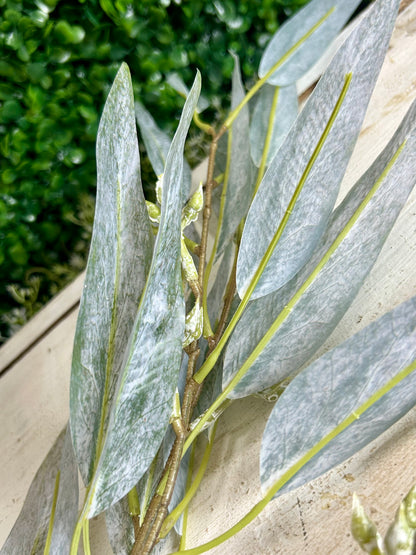 38 Inch Grey Eucalyptus Seed Spray