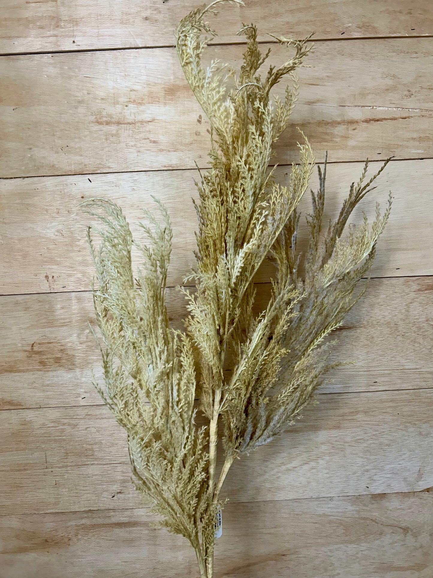 63 Inch Biege Pampas Grass Plume Spray