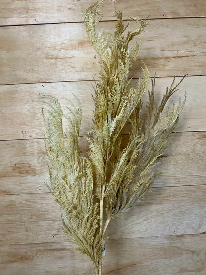 63 Inch Biege Pampas Grass Plume Spray