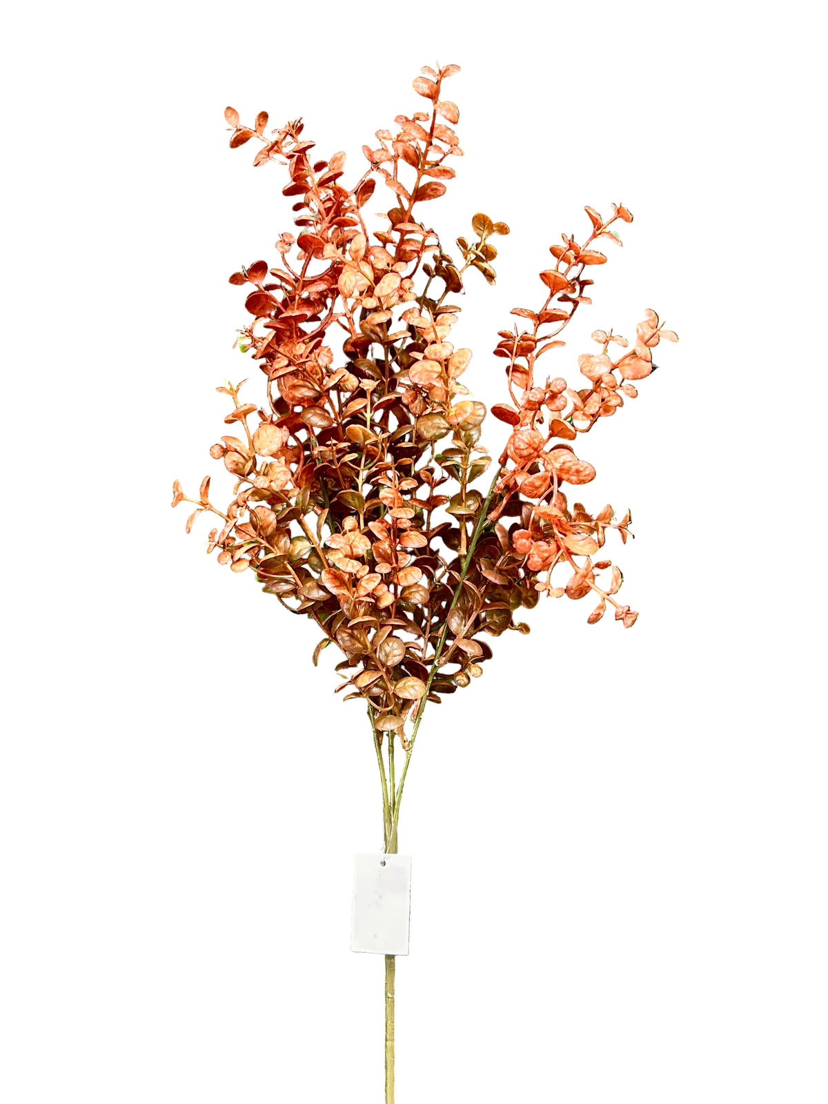 29 Inch Rust Eucalyptus Spray