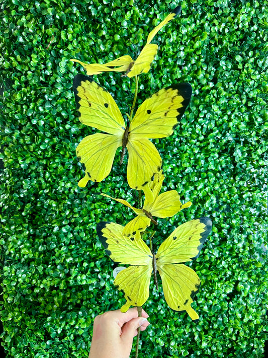 32 Inch Yellow Butterfly Spray