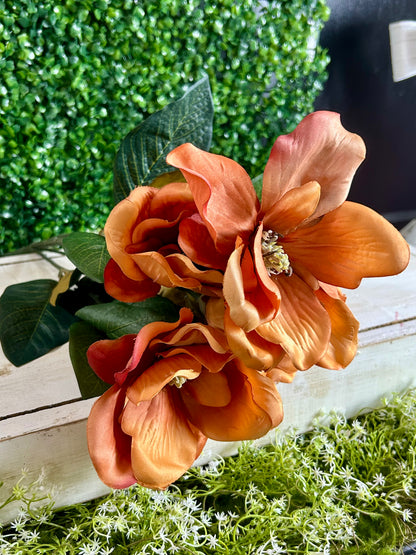 21 Inch Rust Magnolia Bush