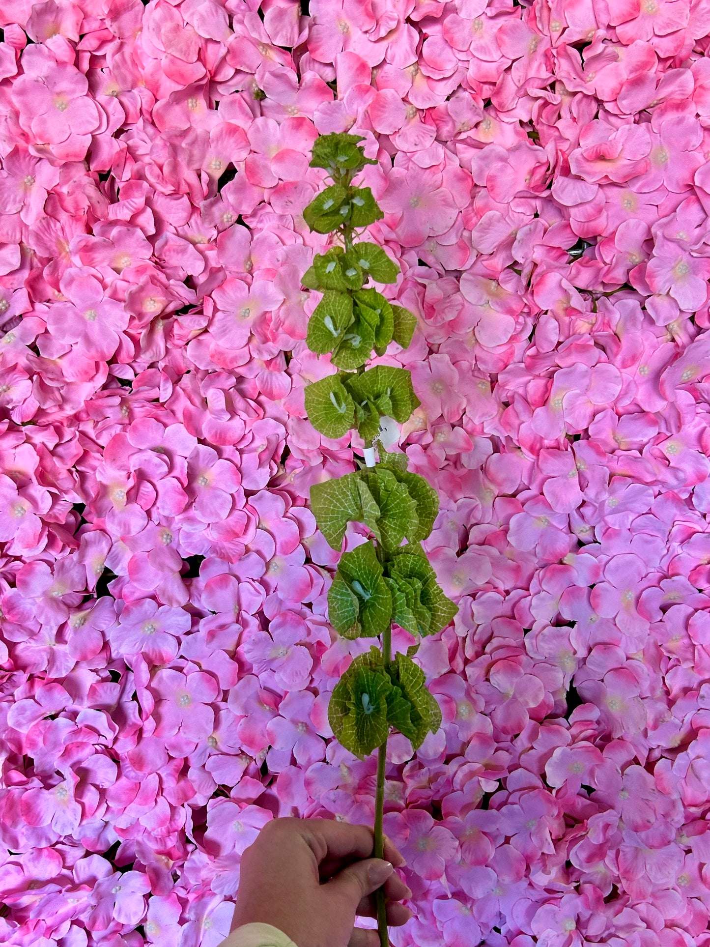 29 Inch Green Bells Of Ireland Spray